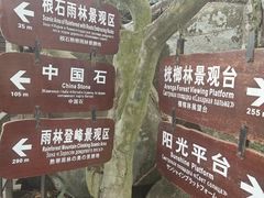 -呀诺达热带雨林