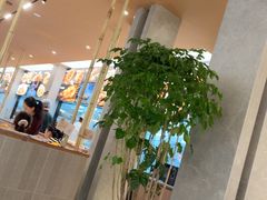 -情妹耙泥鳅·江湖川菜(科华店)