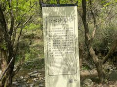 -白水冲瀑布
