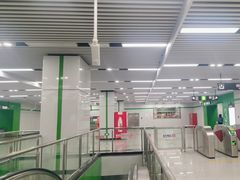 -丽清大别山鹅火锅(潜山路店)
