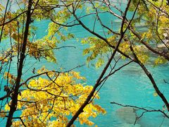 -叠溪松坪沟景区