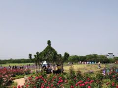 -武汉紫薇都市田园