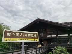 -大唐贡茶院