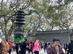 -普陀山风景名胜区-法雨禅寺