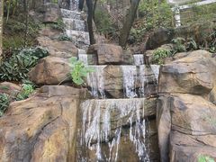 -广州市流溪河国家森林公园
