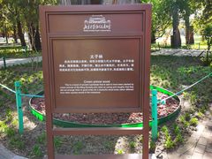 -北京市劳动人民文化宫(太庙)