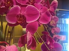 -花锦堂·隐庐