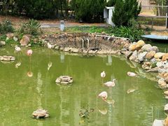 -石排湾郊野公园