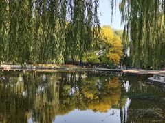 -玲珑塔公园