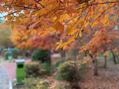 -长春市南湖公园