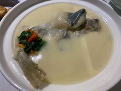 东坡河豚-肆月河豚·新淮扬(金融街店)