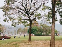 -顺峰山公园