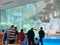 -帝企鹅自助餐厅•儿童岛•真企鹅(长隆企鹅酒店)