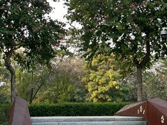 -怡海公园(桂城街道)