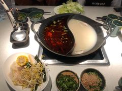 红汤梭边鱼锅-新辣道鱼火锅(西直门店)