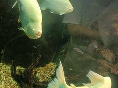 -嘉兴海底世界