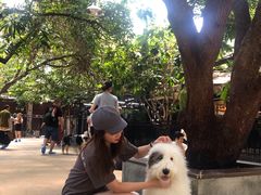 -TrueLove @ Neverland (Husky Cafe)