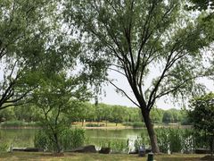 -东华大学(松江校区)