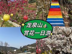 -桃源山庄·水蜜桃采摘·柴火鸡·烧烤团建(龙泉山店)