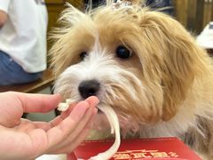 -堂瓦里·33年传统赣菜(第一街区店)