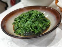 清炒金花菜-庆余楼·用心与食材·特色菜&灶头面(仙蠡墩店)
