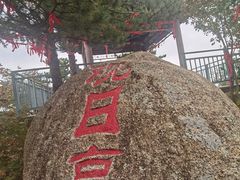 -六里坪国家森林公园