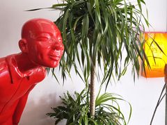 -向外鱼乐·土菜·虹鳟鱼