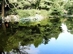 -叶家花园