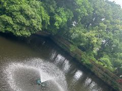 -普陀山风景名胜区-法雨禅寺