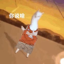 -康颜SPA自然疗愈皮肤管理中心