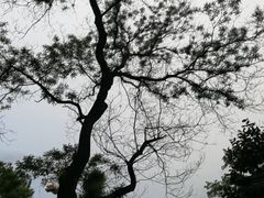 -北京大学百年讲堂