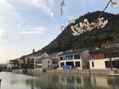 -湘湖金融镇