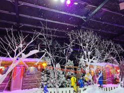 -圣名游乐城冰雪大世界