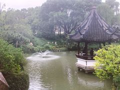 -上海醉白池公园