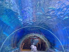 -华夏文旅海洋公园