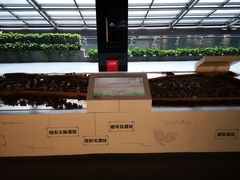 -杭州市城市规划展览馆