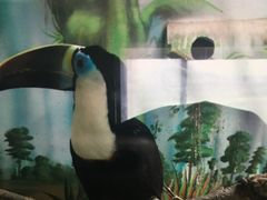 -石家庄市动物园