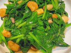 -朝郡酒家·粤菜(燕大星苑店)