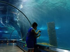 -石家庄海洋公园