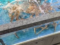 -百荣世贸商城