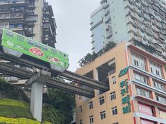 -李子坝梁山鸡(李子坝大鸡哥店)