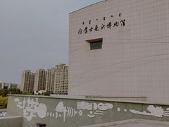 -包头博物馆