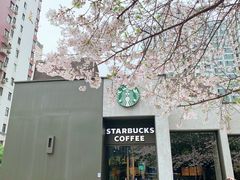 -玛格萝妮比萨屋(四平店)