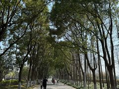 -上海鲜花港