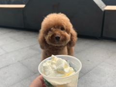 爪布奇诺-星巴克臻选(广州二沙岛文立方店)