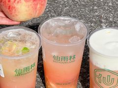 -仙雨林·奶茶鲜果茶(书院巷店)