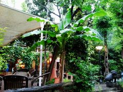 wKgByU_PgIP_9hpAAAgk9ZmkBag33.groupinfo.w600-旅马餐厅(茅家埠店)