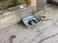 -姥家大锅台水库渔家