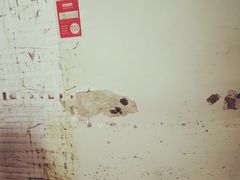 -玲玲米粉·新疆现炒米粉(大十字总店)