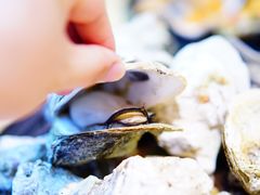 原味烧蚝-蚝抵食·湛江生蚝(湾北路店)